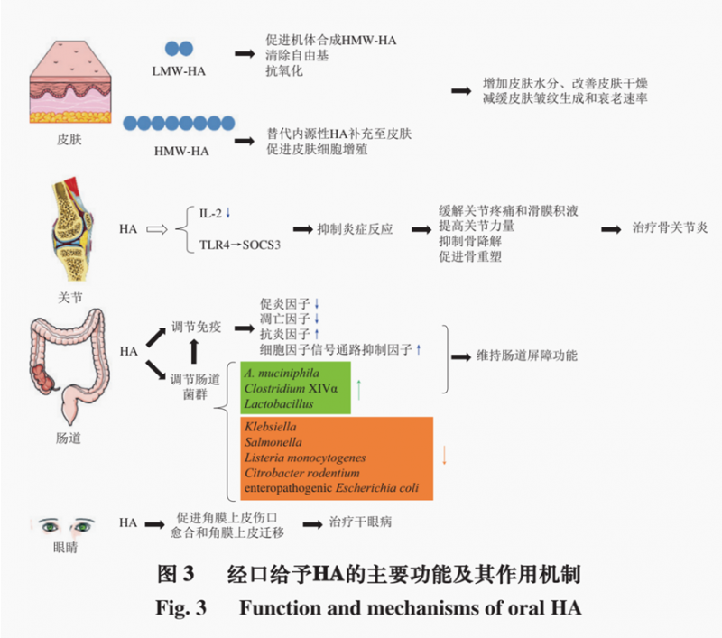 QQ截圖20220127213834