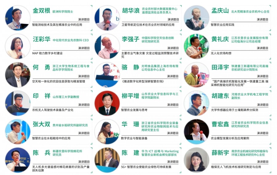 圖片13