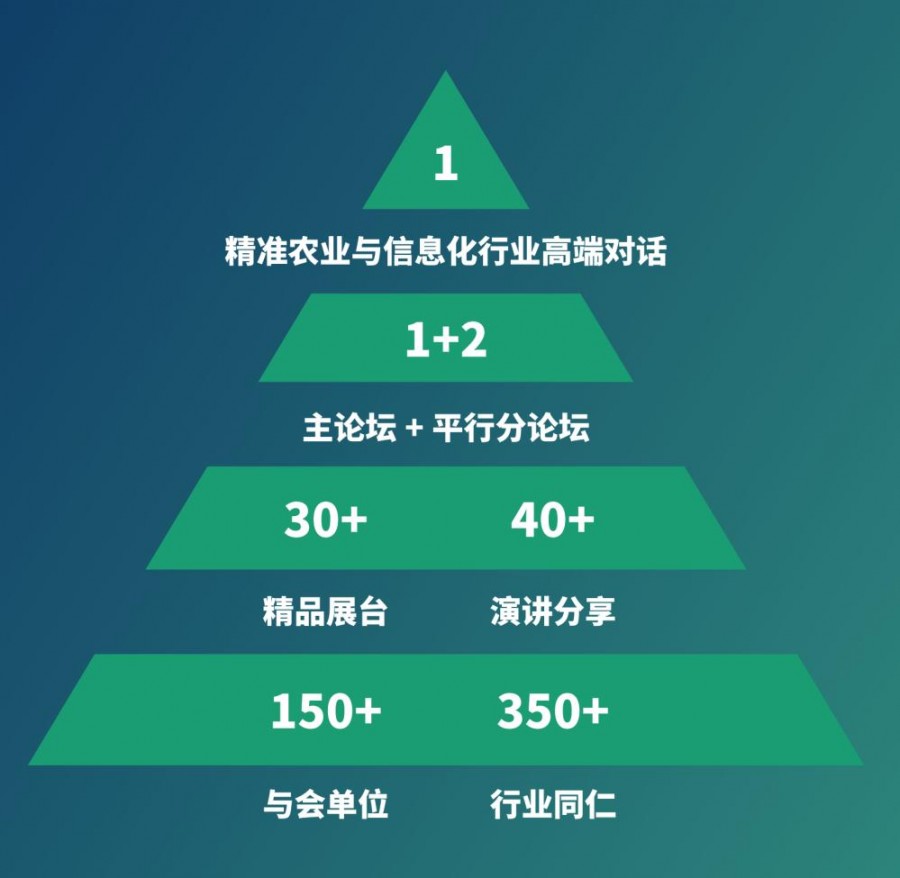 圖片10