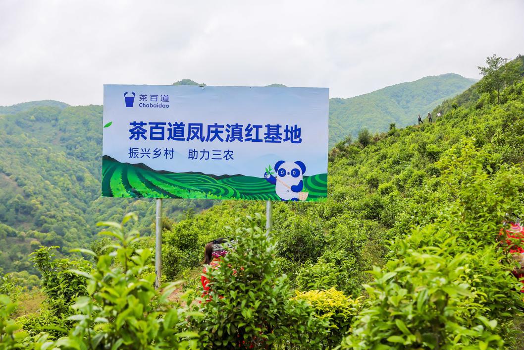 圖片3.jpg