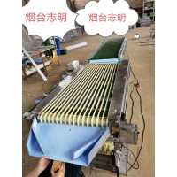 山東煙臺志明牌楊梅、櫻桃多用途調(diào)速分級機