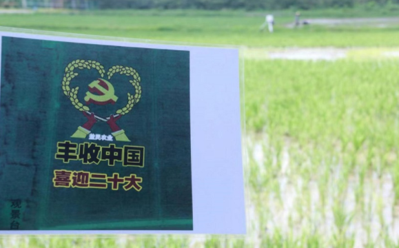 QQ截圖20220709151325