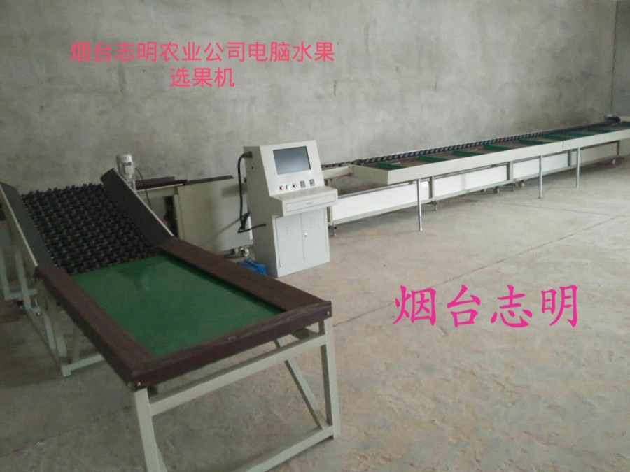 電腦分級(jí)機(jī)兔子