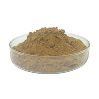 葛根提取物葛根素30%葛根黃酮60%葛根異黃酮45%現(xiàn)貨
