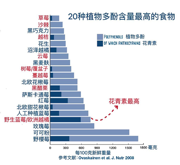 http://delmunsoft.com/file/upload/202211/01/123644201.png