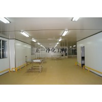 廣東食品無塵車間專業(yè)裝修公司 武漢食品凈化車間專業(yè)裝修公司