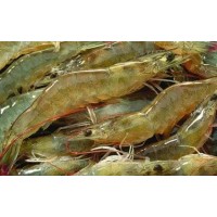 天津進(jìn)口白蝦報(bào)關(guān)報(bào)檢流程