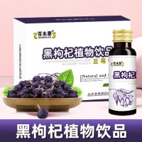 百未草黑枸杞植物飲品源頭生產(chǎn)  oem代加工