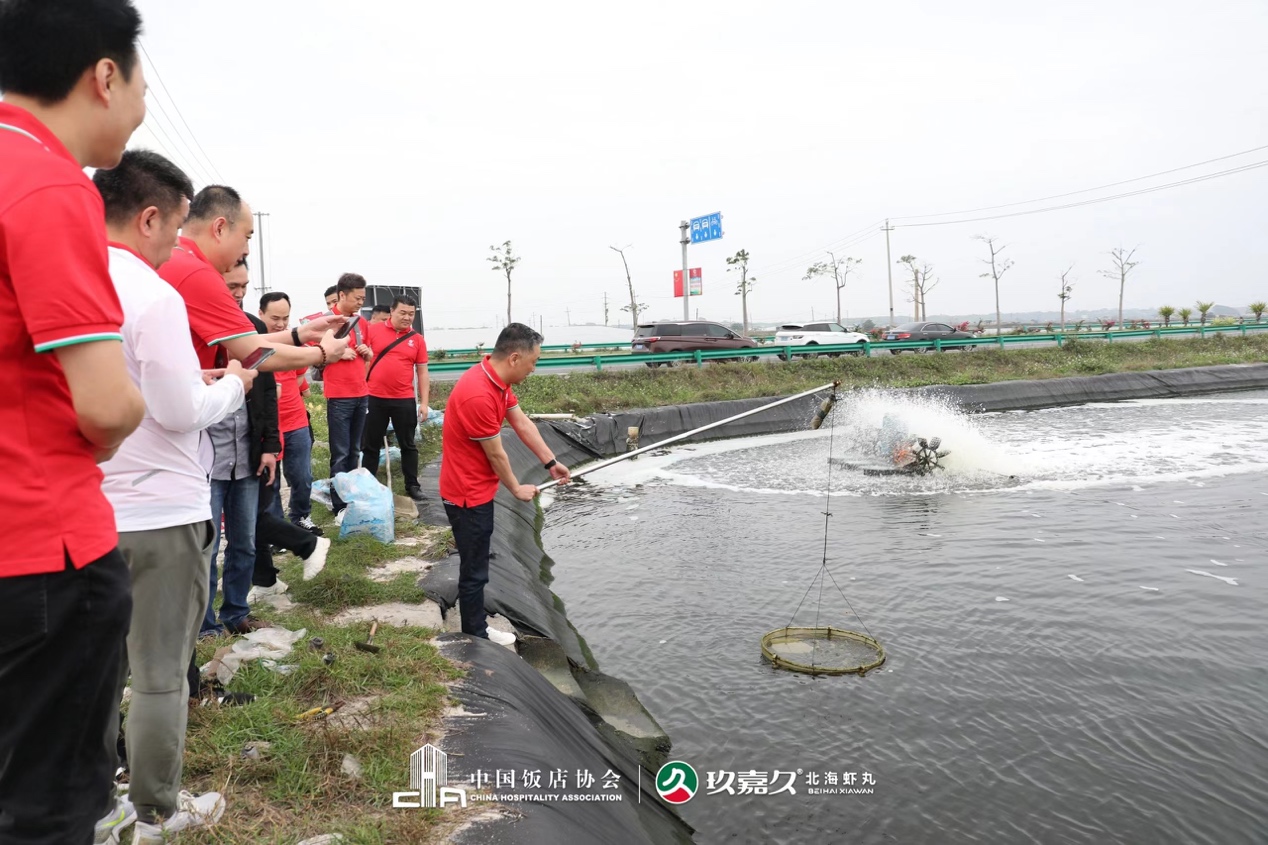 如圖片無法顯示，請刷新頁面