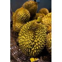 重磅消息越南榴蓮進(jìn)口中國報關(guān)報檢新流程