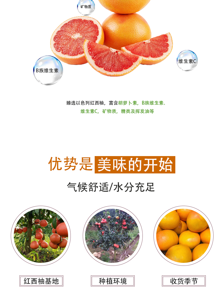 紅西柚濃縮汁詳情頁_04