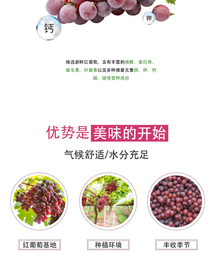 濃縮紅葡萄汁詳情頁_04