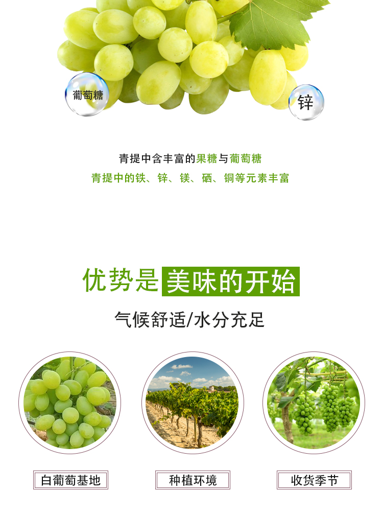 濃縮白葡萄（青提）詳情頁_04
