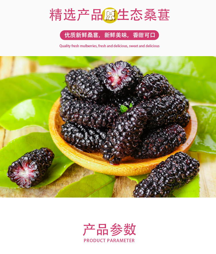 濃縮桑葚汁詳情頁_02