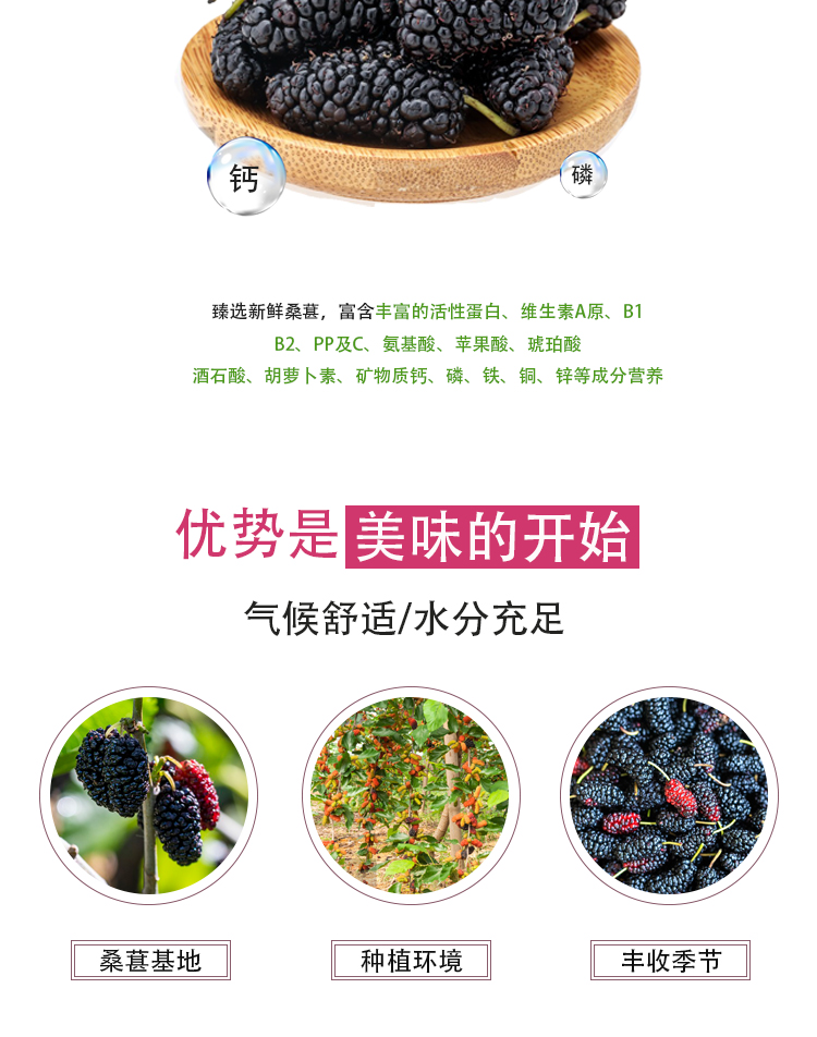 濃縮桑葚汁詳情頁_04