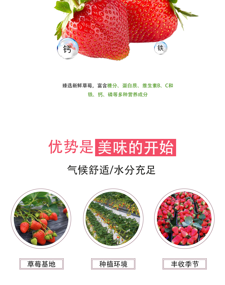 濃縮草莓汁詳情頁_04