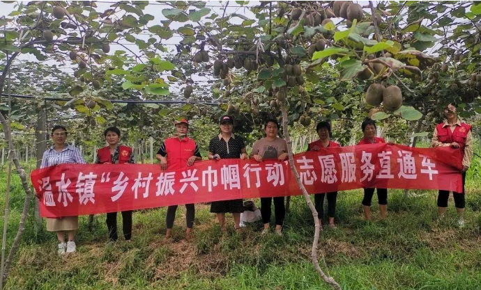 QQ截圖20230725104234