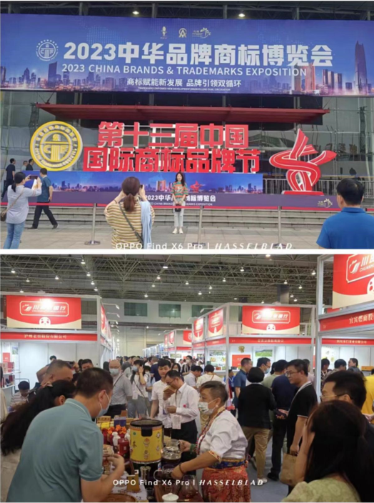 QQ截圖20230808094228