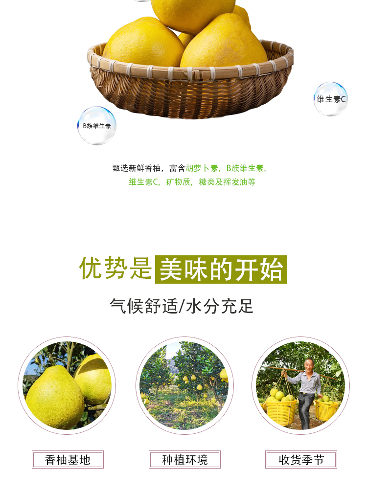 香柚汁詳情頁_04