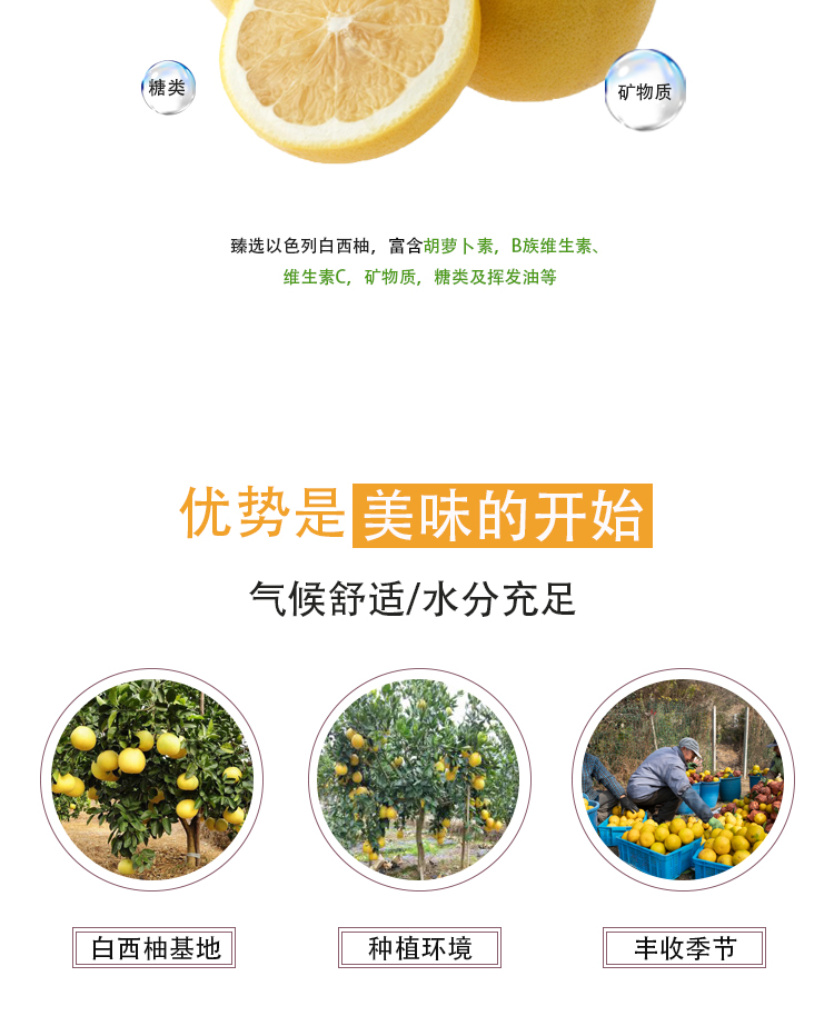 冷凍濃縮白西柚汁詳情頁_04