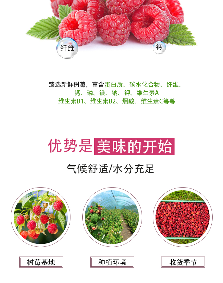 濃縮樹莓汁詳情頁_04