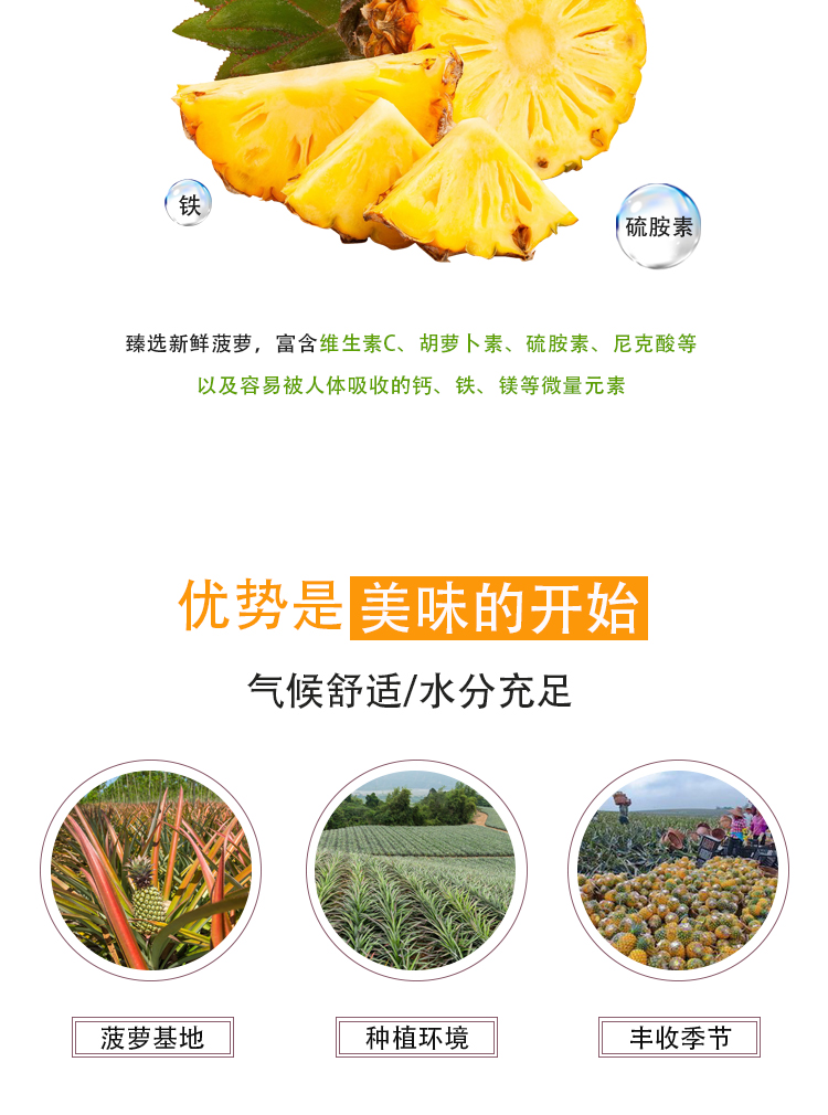 濃縮菠蘿汁詳情頁_04