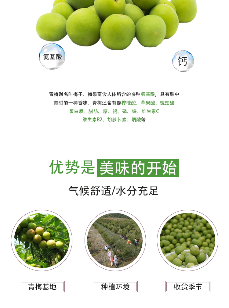 濃縮青梅汁詳情頁_04