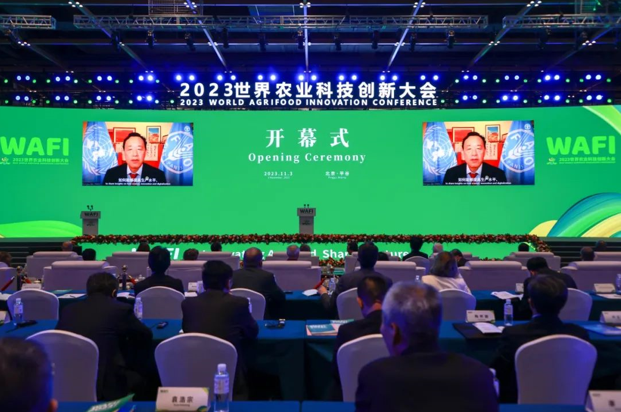 QQ截圖20231104091403