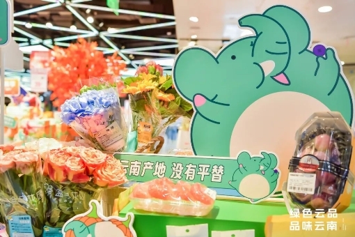 “綠色云品 品味云南”綠色云品市集在上海舉辦