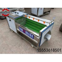 全自動土豆毛輥清洗機 毛輥清洗機 毛輥去皮清洗機