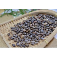 進(jìn)出口報關(guān)，貨物運輸 倉儲 貿(mào)易代理