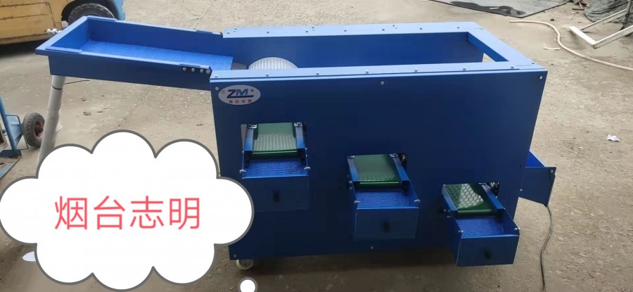 開盤藍(lán)莓新機(jī)