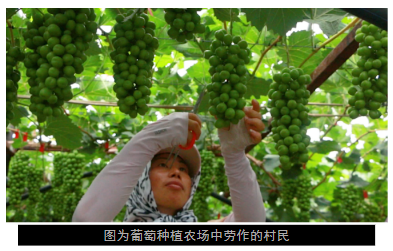 QQ截圖20240802102235