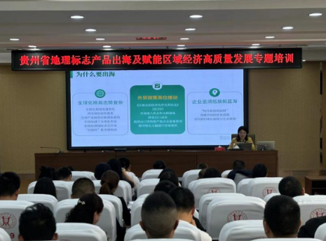 QQ截圖20241017180212