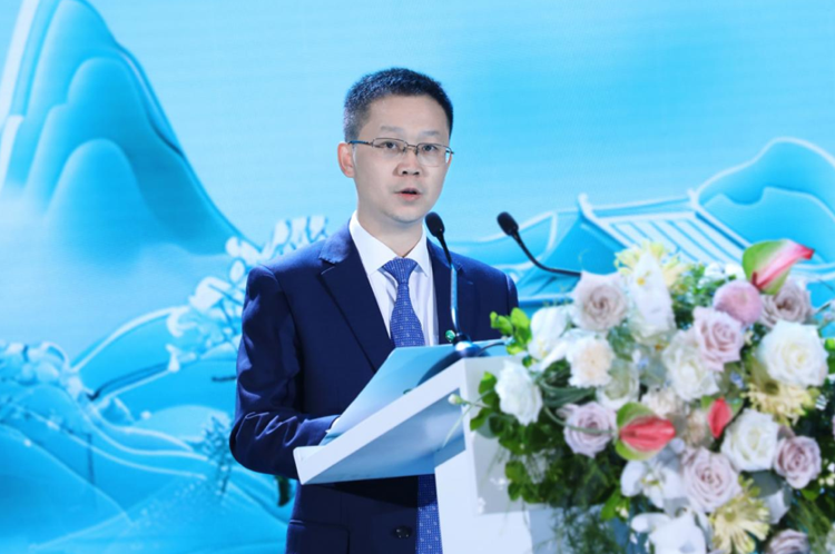 QQ截圖20241101121746