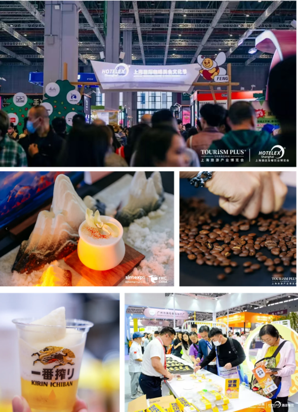 QQ截圖20241204160546