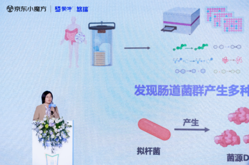 QQ截圖20241205181042