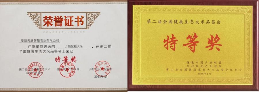 文字文稿1_02