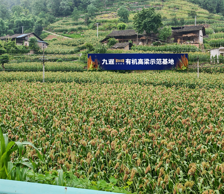 微信圖片_20250821144716.png