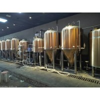酒店日產(chǎn)1噸2噸的精釀原漿啤酒設(shè)備 糖化系統(tǒng)