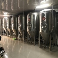 海南精釀精釀酒館啤酒設(shè)備 哪家啤酒設(shè)備好