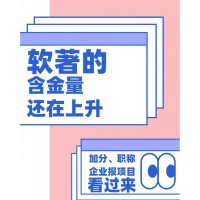 計(jì)算機(jī)軟件著作權(quán)（軟著）核心信息詳解